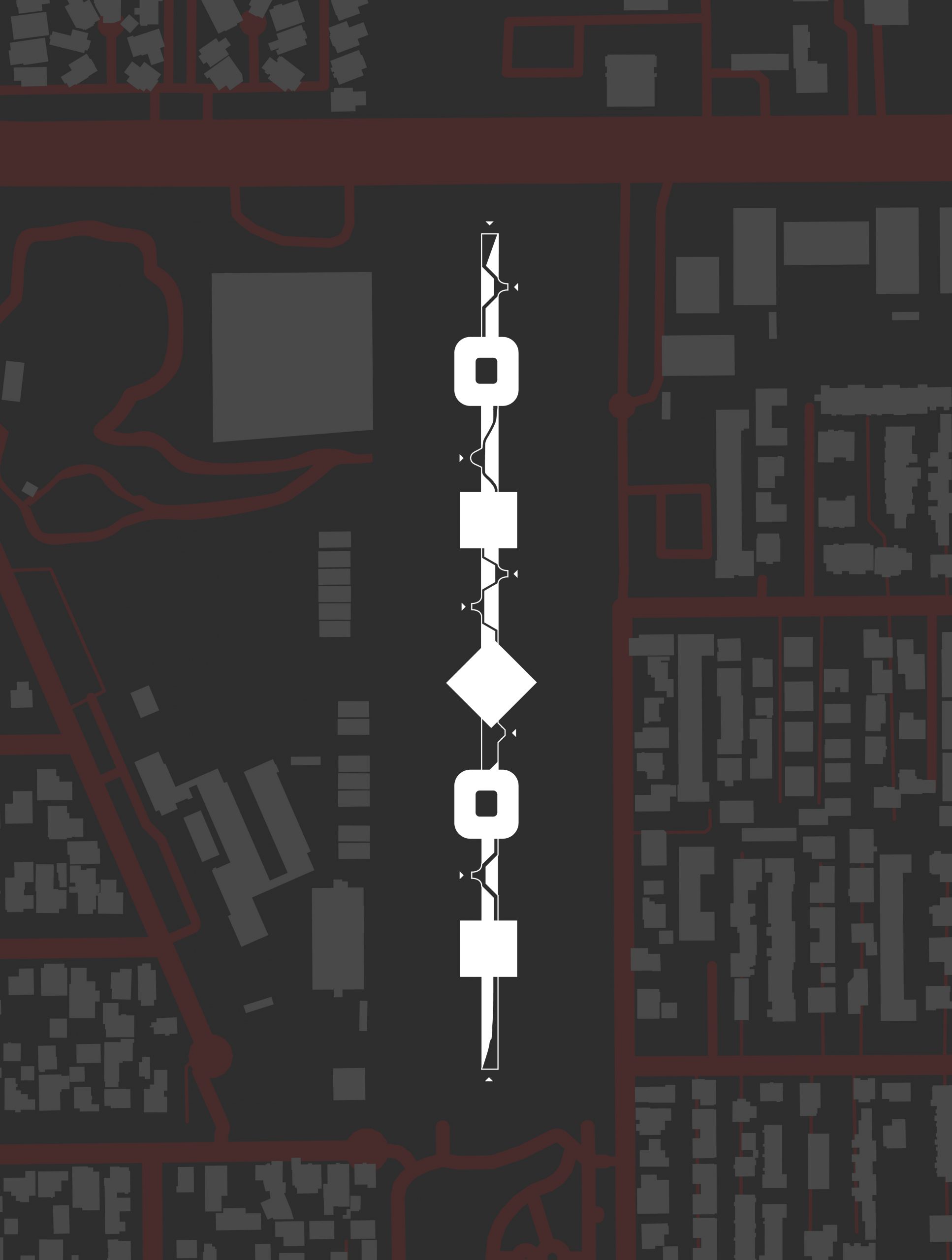 The Social Spine