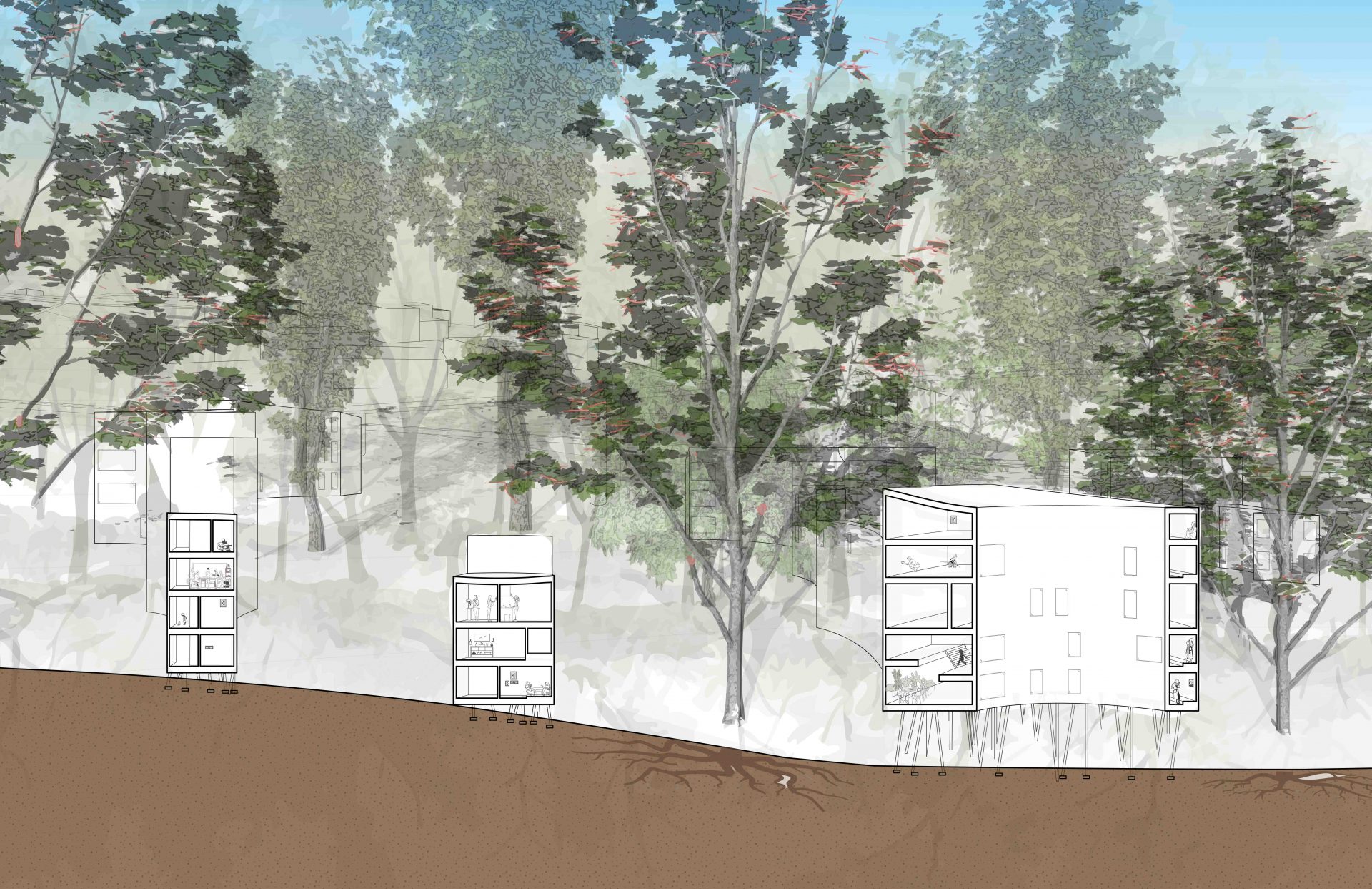 Interstitial Habitats