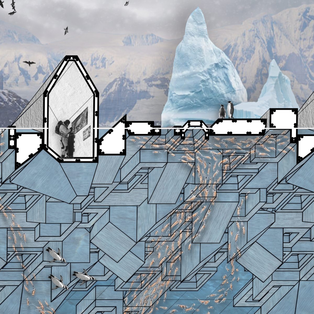The Symbiotic Drift: — Deployable Habitats and Educational Infrastructure for Krill Regeneration