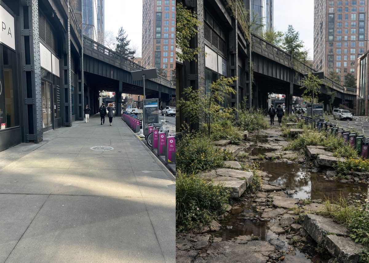 Cracking for Ferality: The Sidewalk as a Site of Co-Inhabitance
