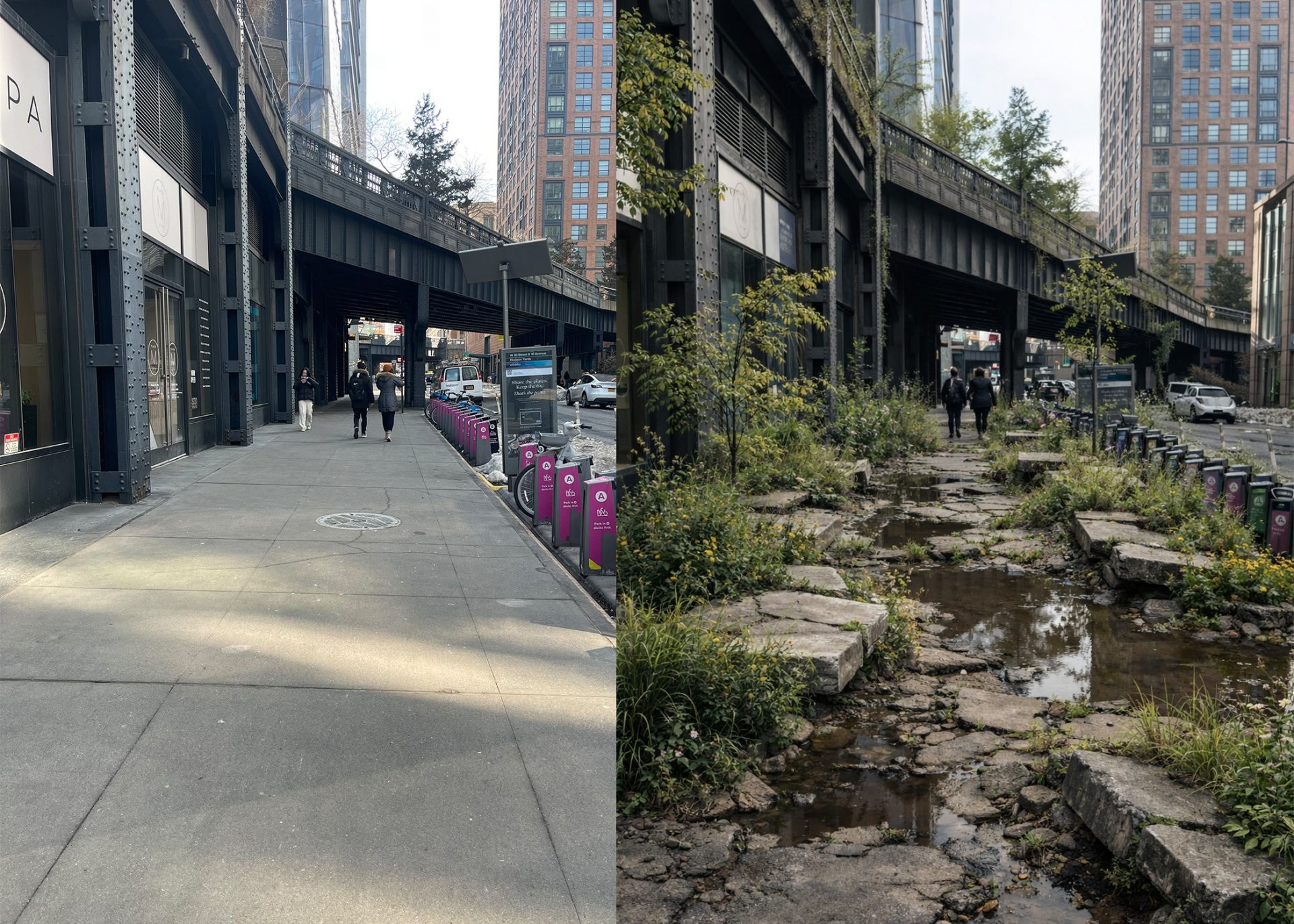 Cracking for Ferality: The Sidewalk as a Site of Co-Inhabitance