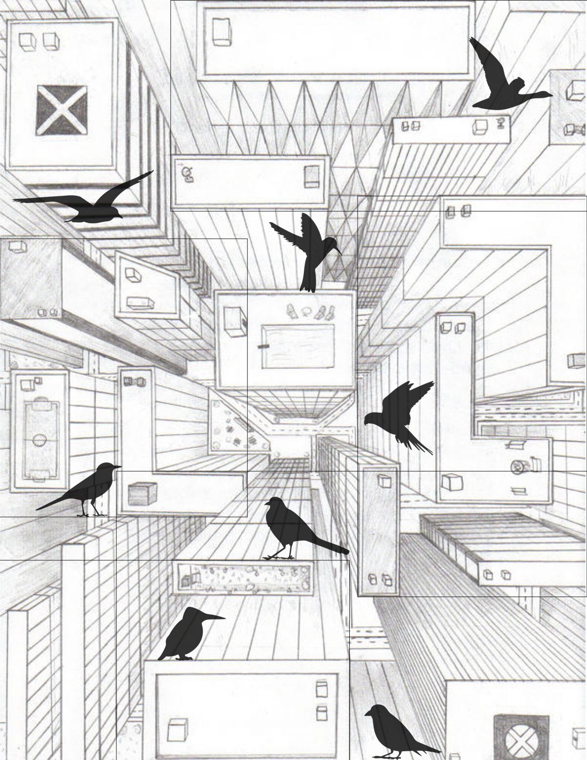 Cohabitation System: Negotiating Space Between Humans and Birds