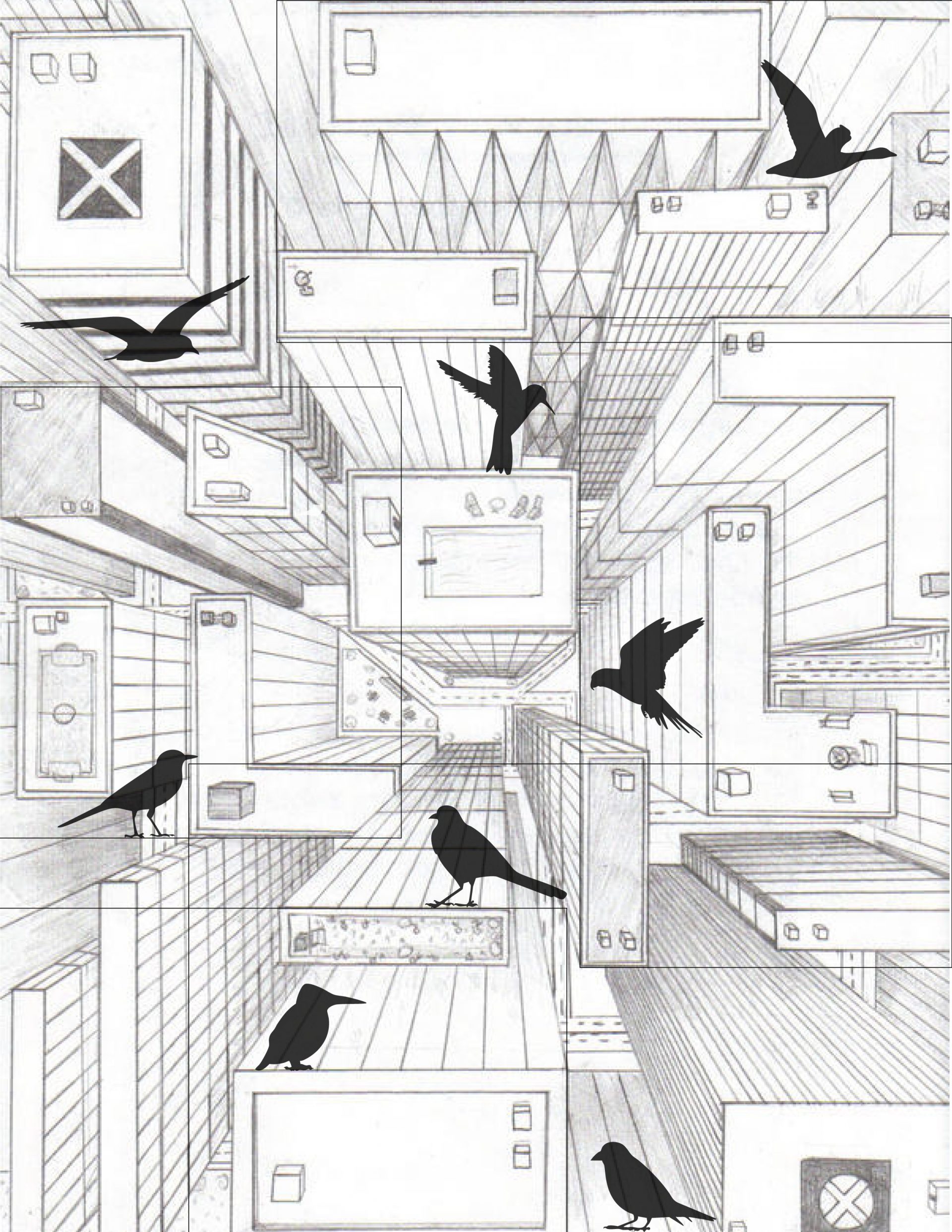 Cohabitation System: Negotiating Space Between Humans and Birds
