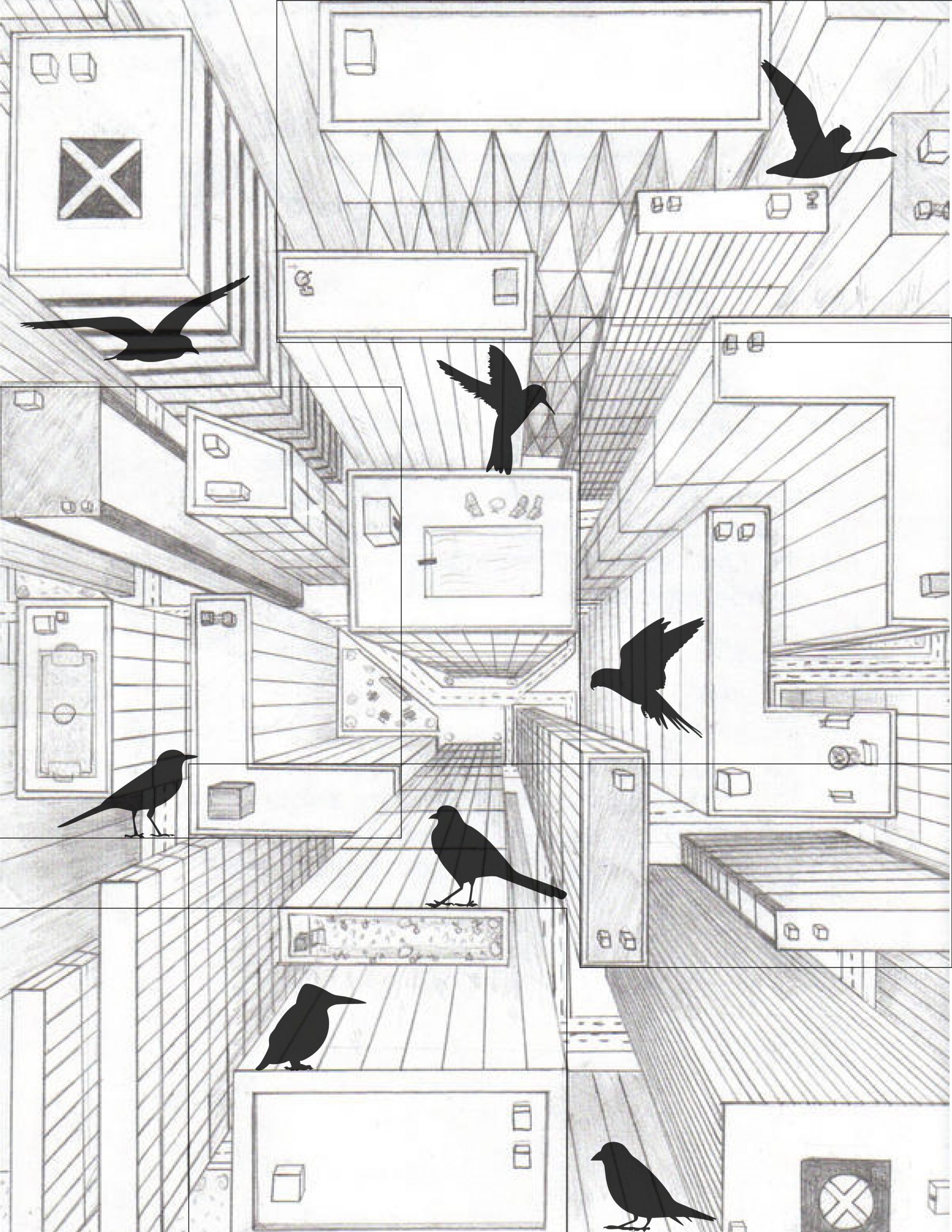 Cohabitation System: Negotiating Space Between Humans and Birds
